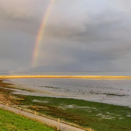 Prázdninový dům Vakantiebungalow Texel De Cocksdorp (Texel)