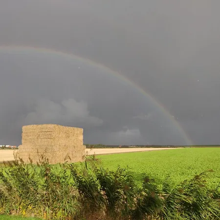 Prázdninový dům Vakantiebungalow Texel