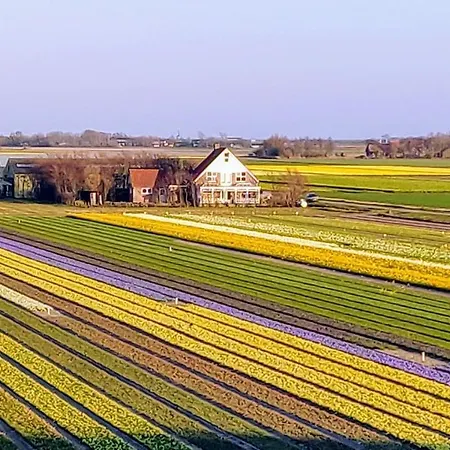 Prázdninový dům Vakantiebungalow Texel *