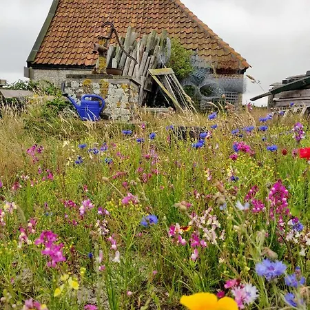 Vakantiebungalow Texel *
