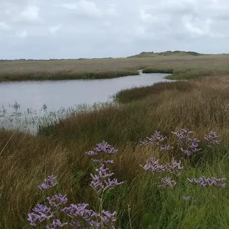 Prázdninový dům Vakantiebungalow Texel De Cocksdorp (Texel)