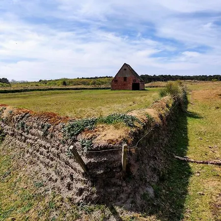 Prázdninový dům Vakantiebungalow Texel De Cocksdorp (Texel)