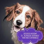 特克塞尔瓦卡蒂度假屋 度假居 德科克斯多普