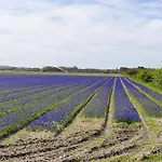 特克塞尔瓦卡蒂度假屋 度假居 *