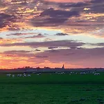 特克塞尔瓦卡蒂度假屋 度假居 *