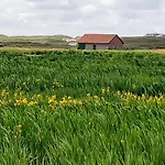 特克塞尔瓦卡蒂度假屋 * 德科克斯多普