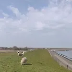 度假居 特克塞尔瓦卡蒂度假屋