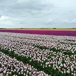 度假居 特克塞尔瓦卡蒂度假屋 德科克斯多普