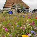 特克塞尔瓦卡蒂度假屋 *