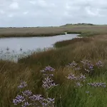 度假居 特克塞尔瓦卡蒂度假屋 德科克斯多普