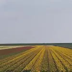 特克塞尔瓦卡蒂度假屋 度假居 *