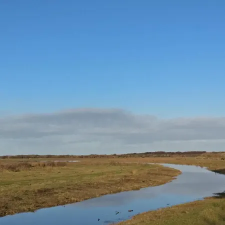 Vakantiebungalow Texel 펜션 *