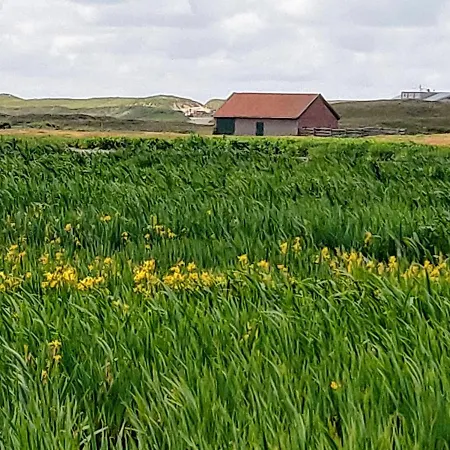 Vakantiebungalow Texel * 더콕스도르프