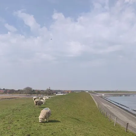 펜션 Vakantiebungalow Texel
