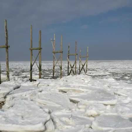 特克塞尔瓦卡蒂度假屋 度假居