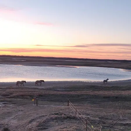 特克塞尔瓦卡蒂度假屋 度假居 德科克斯多普