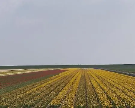 Vakantiebungalow Texel 펜션 *